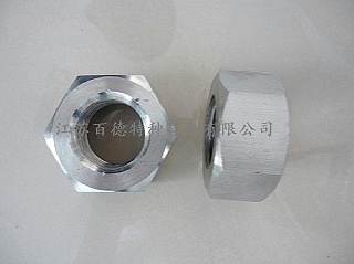 耐蚀合金Alloy28螺母